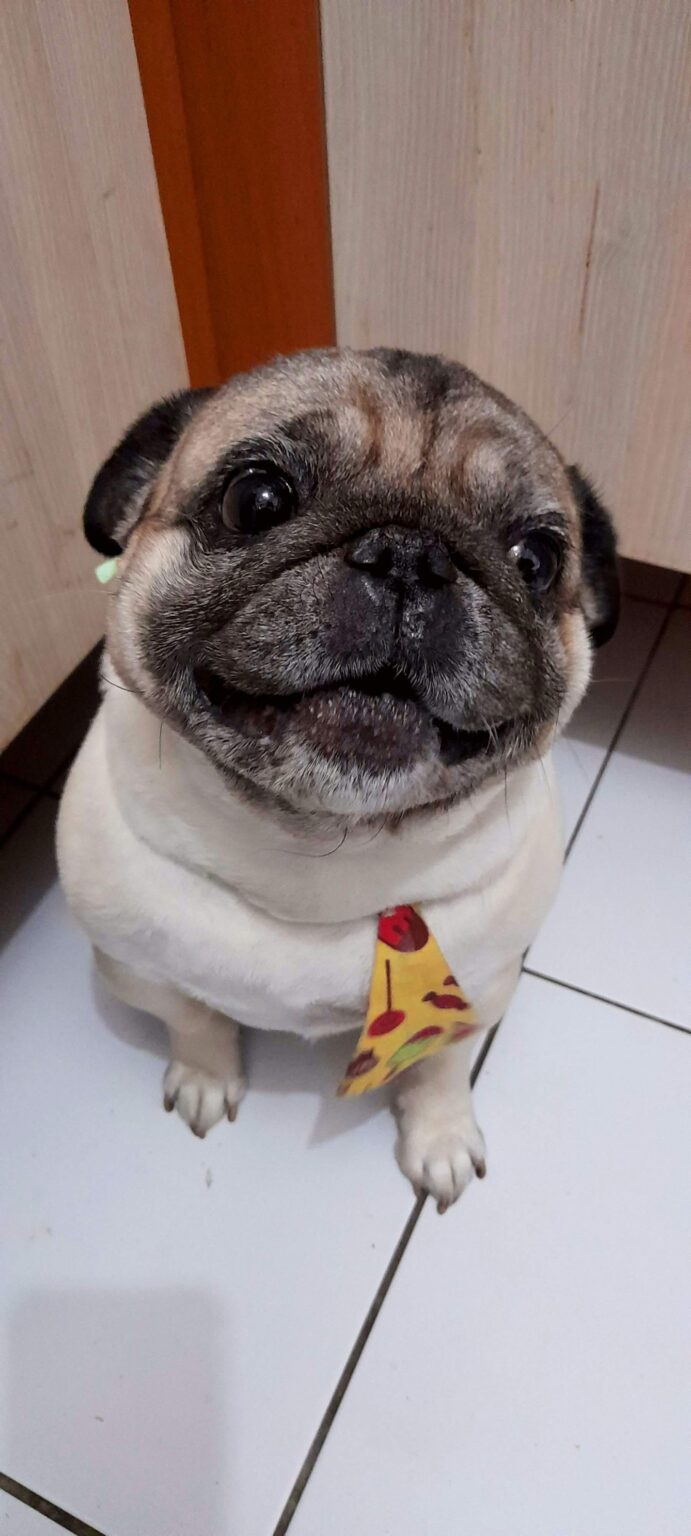 {"fte_image_ids":[],"remix_data":[],"remix_entry_point":"challenges","source_tags":[],"source_ids":{},"source_ids_track":{},"origin":"unknown","total_draw_time":0,"total_draw_actions":0,"layers_used":0,"brushes_used":0,"photos_added":0,"total_editor_actions":{},"tools_used":{"adjust":1},"is_sticker":false,"edited_since_last_sticker_save":true,"containsFTESticker":false}